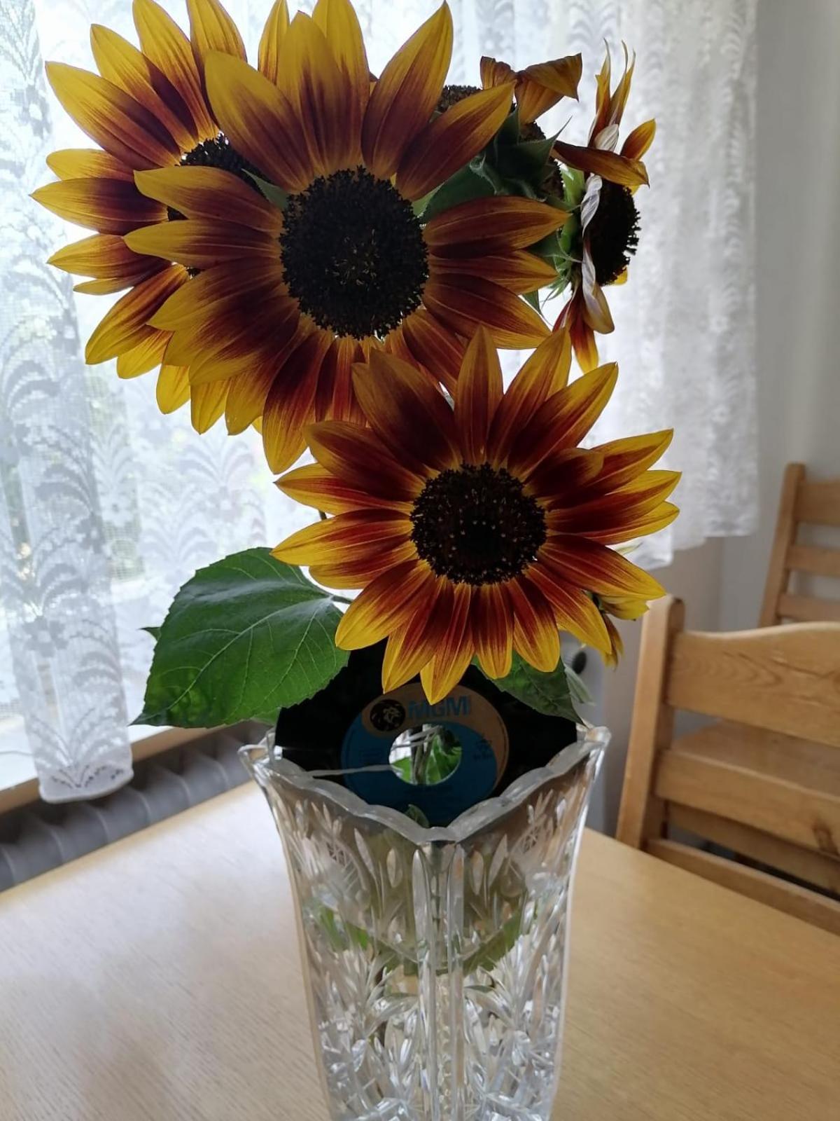 게일링언 Alpenblick 아파트 외부 사진
